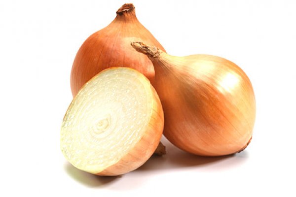Kraken 16 onion